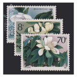 东吴收藏 集邮  T字头邮票 收藏 之五 T111 珍稀濒危木兰科植物