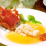 尊富 黄焖汤 花胶鸡浓汤包高汤火锅底汤加热即食汤汁 5盒装 总重790g