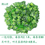 豫之韵 仿真花藤条客厅装饰仿真绿藤条吊顶楼梯空调管道装饰藤蔓葡萄叶 80片爬山虎（12条1包）小而密