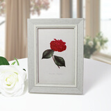 汉傲装饰材料 相框摆台照片框挂墙创意现代简约像框架定制 灰色 6寸-可放照片尺寸10*15cm