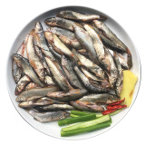 品鲜肴 淡水鱼 小麦穗 罗汉鱼 肉柱鱼 500g\/份 自然捕获生长小鱼 500g（净膛）