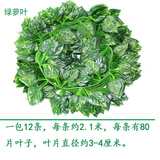 豫之韵假花藤条塑料绿植物花壁水管道装饰空调管遮挡吊顶装饰室内阳台 80片绿萝叶（1包12条）小而密