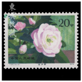东吴收藏 不成套邮票/散票 集邮 JT票 1974-1991年 之六 T37 山茶花 10-5 童子面 20分