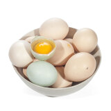 密园小农 土鸡蛋白皮散养柴鸡蛋 30枚 约1.5kg