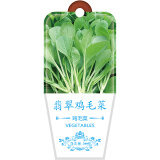 北京东升种业（DS）蔬菜种子翡翠鸡毛菜种子 四季蔬菜 家庭阳台 庭院种植500粒/袋