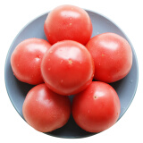 凡谷归真 西红柿 番茄 1.25kg 新鲜蔬菜 产地直供