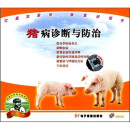 猪病诊断与防治（VCD）