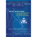 现货 实分析 Real Analysis: Measure Theory, Integration, and Hilbert Spaces 9780691113869