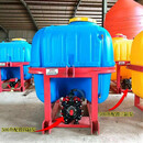 新款甩卖悬挂式喷农用拖拉机置四轮车折叠打药机车载迷雾机 500升四缸泵喷杆6-7.2米带