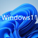 微软（Microsoft）Win11,Win10,office专业版商业授权企业正版化企业版copilot订阅 win11专业版+office2024小企业版