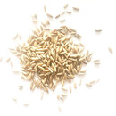 JGGYK黑麦草种籽四季多年生耐寒牧草种子 【南方型】一年生黑麦草一斤