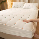 谷蝶2023加厚夹棉床笠单件席梦思床垫套保护罩学生宿舍床褥床套件套 JMJF郁金香-雪白 单件水洗棉刺绣床笠90cmx190cm【