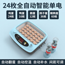 CLCEY小鸡孵化器全自动2024小型家用型智能芦丁鸭鹅孵蛋器鹦鹉孵化箱 炫彩24枚单电