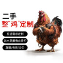 【二手95新】组装电脑酷睿i3 i5 i7高端吃鸡电竞游戏设计办公家用win7系统主机台式机 8代i5主机 机箱随机，有需求请联系客服