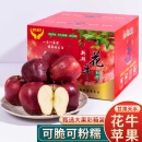 京果甜甘肃天水花牛苹果红蛇果水果整箱9斤净重8.5斤可粉面脆甜