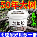 大树烂根粉强力除树粉环嗪酮除草剂烂根大树死除竹子烂根腐蚀剂 三桶【买二送一】 500g 3桶