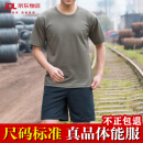 三零一三际华体能服短袖训练服夏季体能服圆领军迷t恤男速干透气 套装【上衣+裤子】 175/92-96