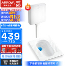 箭牌（ARROW）蹲便器套装带水箱 家用蹲坑式厕所大便器卫浴卫生间便池防堵防臭 不带存水弯后进后排高215 验货收