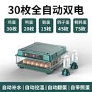 CLCEY小鸡孵化器全自动2024小型家用型智能芦丁鸭鹅孵蛋器鹦鹉孵化箱 30枚双电 显示天数+带水瓶