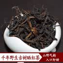 岩亥头春2024年正宗千年野生古树晒红茶滇红茶散茶散装茶叶 500g