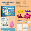 佳菲猫儿童玩具造纸术材料包套装化学实验器材学生diy手工幼儿园科学区 A5造纸体验装