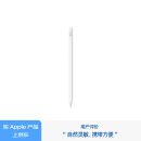 Apple/苹果Pencil(USB-C)磁吸触控笔手写笔苹果笔电容笔适用于iPad mini新品/Pro (M4)/Air (M2)/iPad10