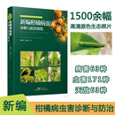 正版  新编柑橘病虫害诊断与防治图鉴 生理病害自然伤害63种病害 图文并茂 柑橘种植技术 柑橘病虫害图鉴 柑橘病诊治与防治书