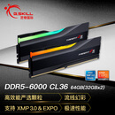 G.SKILL芝奇（G.SKILL）64GB(32Gx2)套装 DDR5 6000频率 台式机内存条-幻锋戟RGB灯条(黯雾黑)/C36