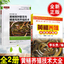 【全2册】黄鳝养殖关键技术精解+黄鳝苗种繁育与健康高效养殖技术黄鳝养殖技术大全书籍鳝鱼黄鳝高效养殖技术疾病防治技术农业