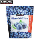 柯克兰（Kirkland）大粒整颗蓝莓干567g 美国进口果干孕妇零食大礼包Costco中秋礼品