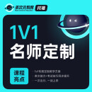 托福1v1定制专拍