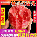 思卓（SIZHUO）红心软芭乐 广东番石榴新鲜水果健康轻食土巴乐软糯甜心单果130g+ 奶油芭乐红心净重4.5斤软糯甜心