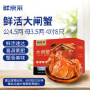 【活蟹】鲜京采大闸蟹 公蟹4.5两 母蟹3.5两 4对8只 去绳足重 死蟹包赔 螃蟹礼盒
