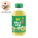 柚道金柚汁果味饮料双柚汁果汁饮品休闲清爽解腻火锅伴侣 柚宝双柚汁300ml*15瓶