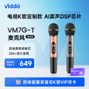 Vidda  海信  麦克风 VM7G-T 海信电视 Vidda电视定制 天籁K歌 无线麦克风 家庭KTV 双支套装