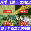 月季卫士月季花常用药白粉病霜霉黑斑病红蜘蛛蚜虫农药杀虫杀菌剂 340套