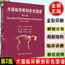 犬猫临床解剖彩色图谱第二2版 小动物内科学职业兽医用书 猫犬诊断医疗 兽医宠物医生工具书 动物医学书籍 中国农业大学出版社