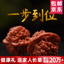 山中玉文玩核桃狮子头手把玩官帽古玩白四座楼麻核桃蛤蟆核头手把件七夕 毕业级45满天星1对+升级工具