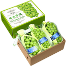 日本引进品种阳光玫瑰葡萄 新鲜晴王礼盒香印葡萄孕妇应季水果 4斤（精美礼盒装）