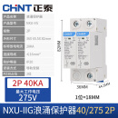 正泰（CHNT）NXU-ⅡG-40kA/275V-2P 浪涌保护器 防雷电涌保护器避雷器