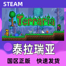 Steam 泰拉瑞亚 Terraria 国区礼物cdk 正版文娱游戏