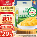 十月稻田 23年新玉米 黄糯玉米200g*8>1.6kg 东北甜糯玉米棒 中秋杂粮礼包