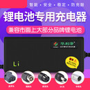 华利泽锂电池电动车独轮车充电器48V3A/36V2A/24V滑板车电瓶哈雷 36V2A 航空头