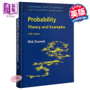 概率论 理论与例证 第5版 Probability Theory and Examples 英文原版 可能性  Rick Durrett