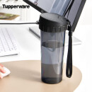 特百惠（Tupperware）茶韵塑料杯 男女学生夏季运动水杯子大容量带滤格 酷炫黑500ML