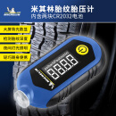 米其林（MICHELIN）汽车轮胎胎压计胎压检测LCD数显胎压表轮胎气压表胎压监测M2209
