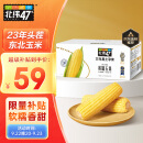 北纬47°（BEIWEI） 黄糯玉米200g*10穗  低脂玉米棒东北黄糯玉米 杂粮 杂粮礼盒