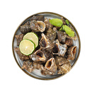 鲜活海螺 13-19粒/500g