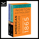 现货 诺顿美国文选 第十版 卷：A、B The Norton Anthology of American Literature; 10th Edition, Package 1: Volumes A