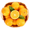 澳大利亚进口脐橙 橙子 12粒装 单果约150g以上 新鲜水果